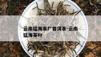 云南猛海茶厂普洱茶-云南猛海茶叶