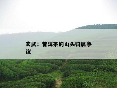 玄武：普洱茶的山头归属争议