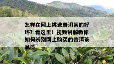 怎样在网上挑选普洱茶的好坏？看这里！视频讲解教你如何辨别网上购买的普洱茶品质