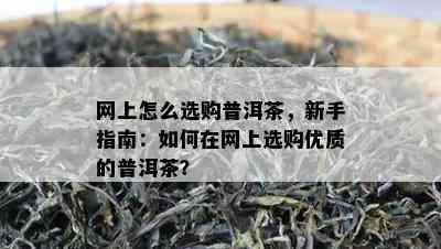 网上怎么选购普洱茶，新手指南：如何在网上选购优质的普洱茶？