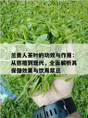 兰贵人茶叶的功效与作用：从慈禧到现代，全面解析其保健效果与饮用禁忌