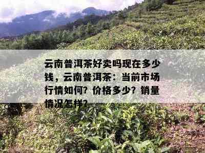 云南普洱茶好卖吗现在多少钱，云南普洱茶：当前市场行情如何？价格多少？销量情况怎样？