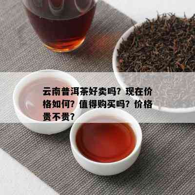 云南普洱茶好卖吗？现在价格如何？值得购买吗？价格贵不贵？