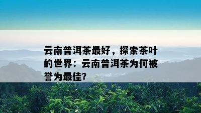 云南普洱茶更好，探索茶叶的世界：云南普洱茶为何被誉为更佳？