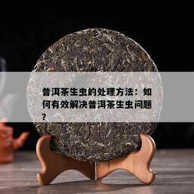 普洱茶生虫的处理方法：如何有效解决普洱茶生虫问题？