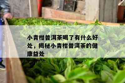 小青柑普洱茶喝了有什么好处，揭秘小青柑普洱茶的健康益处