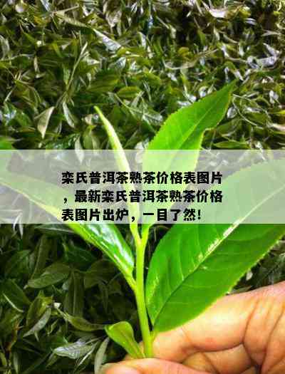 栾氏普洱茶熟茶价格表图片，最新栾氏普洱茶熟茶价格表图片出炉，一目了然！