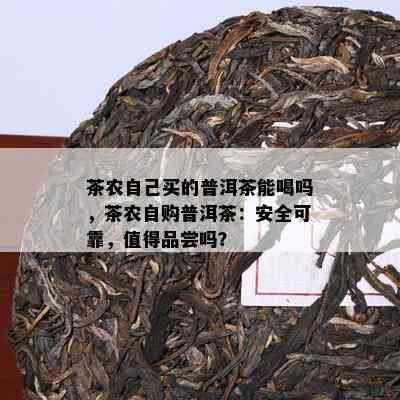 茶农自己买的普洱茶能喝吗，茶农自购普洱茶：安全可靠，值得品尝吗？