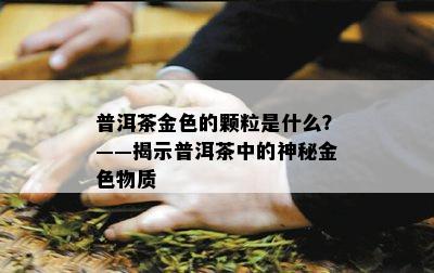 普洱茶金色的颗粒是什么？——揭示普洱茶中的神秘金色物质