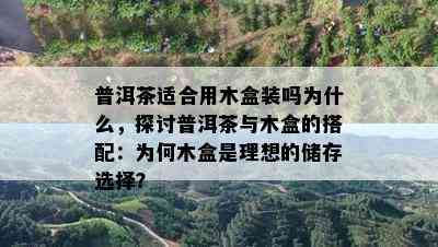 普洱茶适合用木盒装吗为什么，探讨普洱茶与木盒的搭配：为何木盒是理想的储存选择？