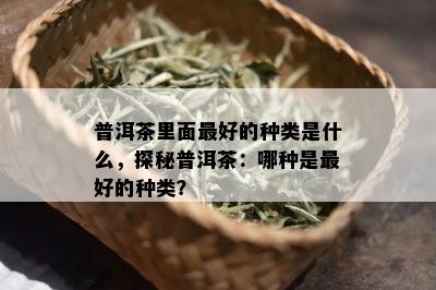 普洱茶里面更好的种类是什么，探秘普洱茶：哪种是更好的种类？