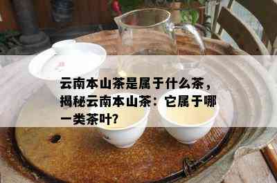 云南本山茶是属于什么茶，揭秘云南本山茶：它属于哪一类茶叶？