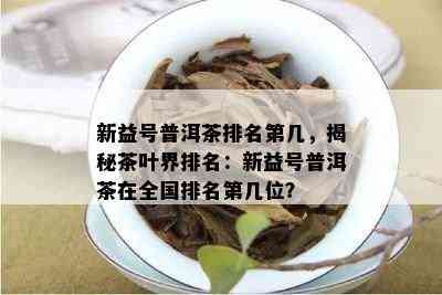 新益号普洱茶排名第几，揭秘茶叶界排名：新益号普洱茶在全国排名第几位？