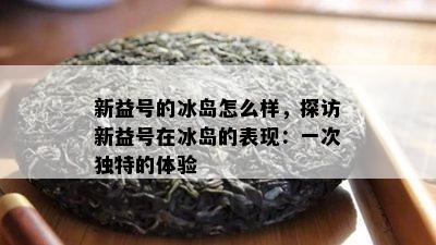 新益号的冰岛怎么样，探访新益号在冰岛的表现：一次独特的体验