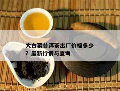 大白菜普洱茶出厂价格多少？最新行情与查询