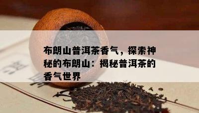 布朗山普洱茶香气，探索神秘的布朗山：揭秘普洱茶的香气世界