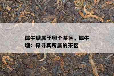 犀牛塘属于哪个茶区，犀牛塘：探寻其所属的茶区