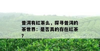 普洱有红茶么，探寻普洱的茶世界：是否真的存在红茶？