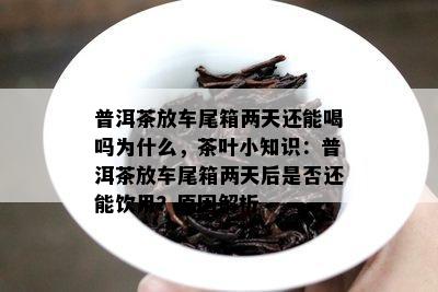 普洱茶放车尾箱两天还能喝吗为什么，茶叶小知识：普洱茶放车尾箱两天后是否还能饮用？原因解析