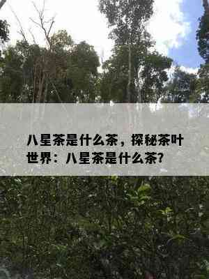 八星茶是什么茶，探秘茶叶世界：八星茶是什么茶？