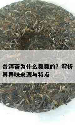 普洱茶为什么臭臭的？解析其异味来源与特点