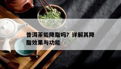 普洱茶能降脂吗？详解其降脂效果与功能