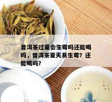 普洱茶过夏会生霉吗还能喝吗，普洱茶夏天易生霉？还能喝吗？