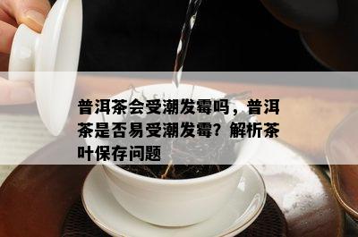 普洱茶会受潮发霉吗，普洱茶是否易受潮发霉？解析茶叶保存问题