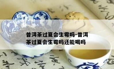 普洱茶过夏会生霉吗-普洱茶过夏会生霉吗还能喝吗