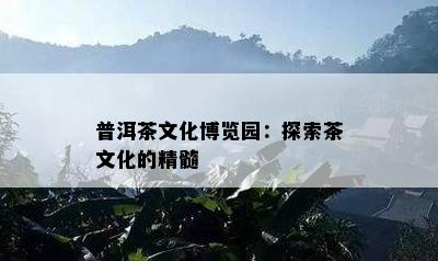 普洱茶文化博览园：探索茶文化的精髓