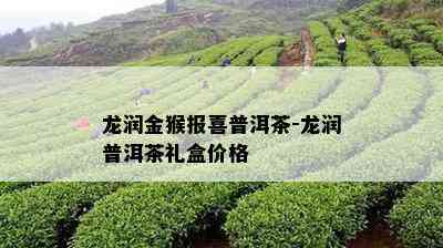 龙润金猴报喜普洱茶-龙润普洱茶礼盒价格