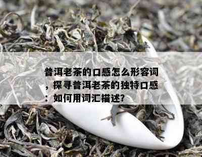 普洱老茶的口感怎么形容词，探寻普洱老茶的独特口感：如何用词汇描述？