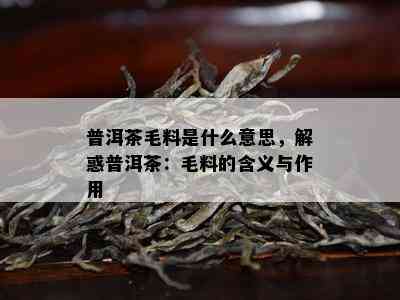 普洱茶毛料是什么意思，解惑普洱茶：毛料的含义与作用