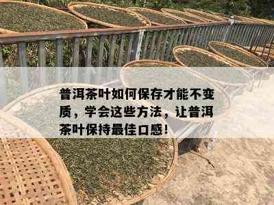 普洱茶叶如何保存才能不变质，学会这些方法，让普洱茶叶保持更佳口感！