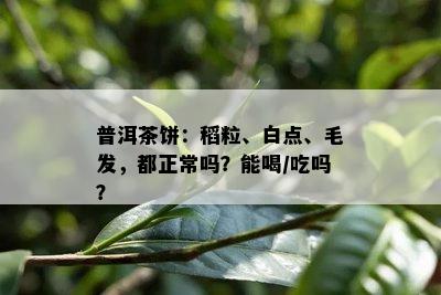 普洱茶饼：稻粒、白点、毛发，都正常吗？能喝/吃吗？