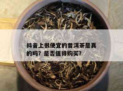 抖音上很便宜的普洱茶是真的吗？是否值得购买？