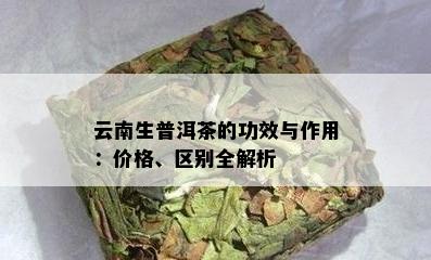 云南生普洱茶的功效与作用：价格、区别全解析