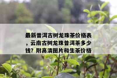 最新普洱古树龙珠茶价格表，云南古树龙珠普洱茶多少钱？附高清图片和生茶价格