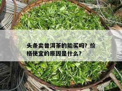 头条卖普洱茶的能买吗？价格便宜的原因是什么？