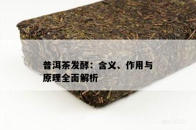 普洱茶发酵：含义、作用与原理全面解析