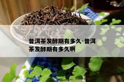 普洱茶发酵期有多久-普洱茶发酵期有多久啊