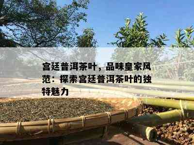 宫廷普洱茶叶，品味皇家风范：探索宫廷普洱茶叶的独特魅力