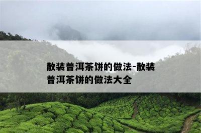 散装普洱茶饼的做法-散装普洱茶饼的做法大全