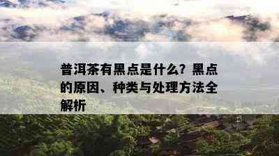 普洱茶有黑点是什么？黑点的原因、种类与处理方法全解析