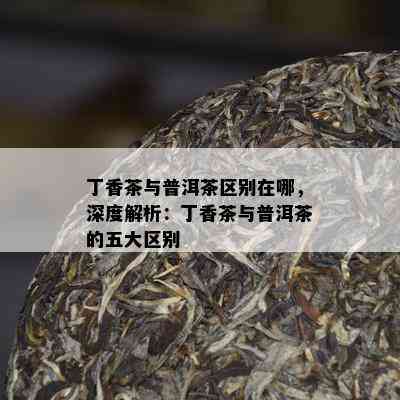 丁香茶与普洱茶区别在哪，深度解析：丁香茶与普洱茶的五大区别