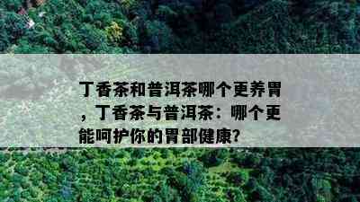 丁香茶和普洱茶哪个更养胃，丁香茶与普洱茶：哪个更能呵护你的胃部健康？