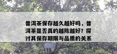 普洱茶保存越久越好吗，普洱茶是否真的越陈越好？探讨其保存期限与品质的关系