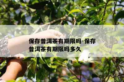 保存普洱茶有期限吗-保存普洱茶有期限吗多久