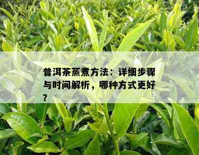 普洱茶蒸煮方法：详细步骤与时间解析，哪种方式更好？