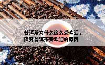 普洱茶为什么这么受欢迎，探究普洱茶受欢迎的原因